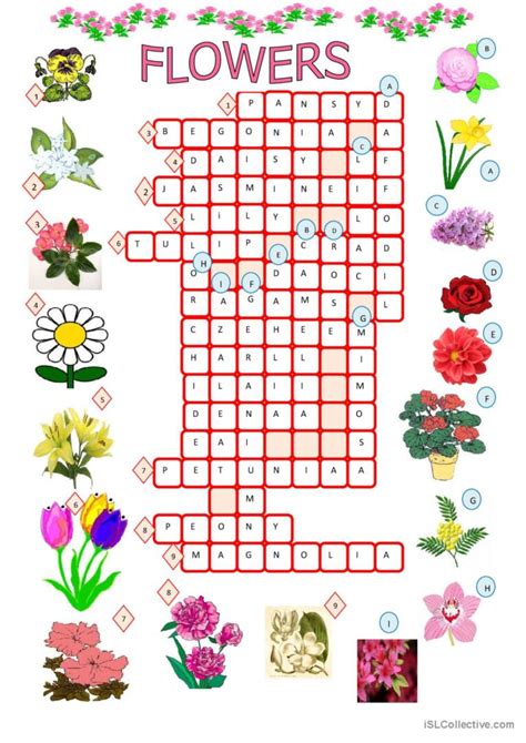 fall flower crossword